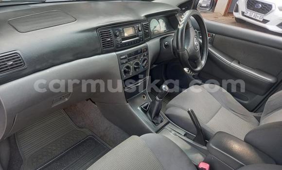 Buy Used Toyota Corolla White Car in Beitbridge in Matabeleland South Buy Used Toyota Corolla White Car in Beitbridge in Matabeleland South