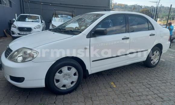 Buy Used Toyota Corolla White Car in Beitbridge in Matabeleland South Buy Used Toyota Corolla White Car in Beitbridge in Matabeleland South