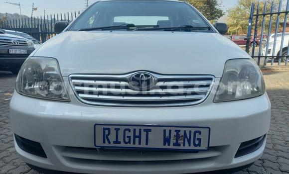 Buy Used Toyota Corolla White Car in Beitbridge in Matabeleland South Buy Used Toyota Corolla White Car in Beitbridge in Matabeleland South