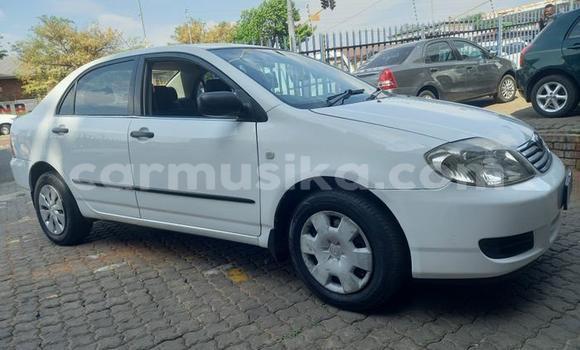 Buy Used Toyota Corolla White Car in Beitbridge in Matabeleland South Buy Used Toyota Corolla White Car in Beitbridge in Matabeleland South