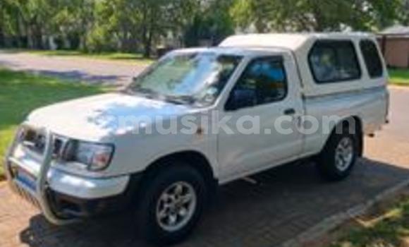 Acheter Occasion Voiture Nissan Hardbody Blanc à Beitbridge, Matabeleland South Acheter Occasion Voiture Nissan Hardbody Blanc à Beitbridge, Matabeleland South