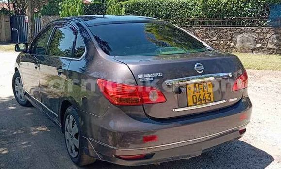 Acheter Occasion Voiture Nissan Sylphy Autre à Borrowdale, Harare Acheter Occasion Voiture Nissan Sylphy Autre à Borrowdale, Harare