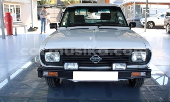 Acheter Occasion Voiture Nissan Pickup Blanc à Beitbridge, Matabeleland South Acheter Occasion Voiture Nissan Pickup Blanc à Beitbridge, Matabeleland South