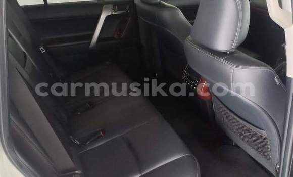Nunua Ilio tumika Toyota Land Cruiser Prado Nyeupe Gari ndani ya Beitbridge nchini Matabeleland Kusini Nunua Ilio tumika Toyota Land Cruiser Prado Nyeupe Gari ndani ya Beitbridge nchini Matabeleland Kusini