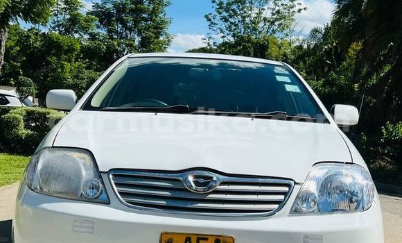 Buy Used Toyota Runx Other Car in Harare in Harare