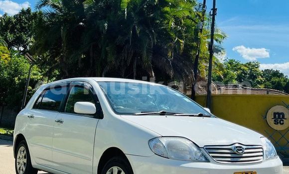 Buy Used Toyota Runx Other Car in Harare in Harare Buy Used Toyota Runx Other Car in Harare in Harare