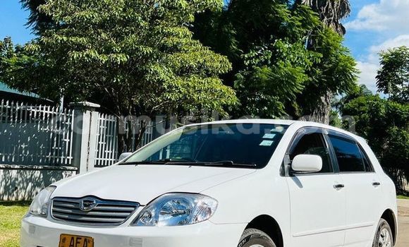 Buy Used Toyota Runx Other Car in Harare in Harare Buy Used Toyota Runx Other Car in Harare in Harare
