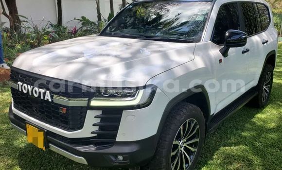Acheter Occasion Voiture Toyota Land Cruiser Blanc à Harare, Harare Acheter Occasion Voiture Toyota Land Cruiser Blanc à Harare, Harare
