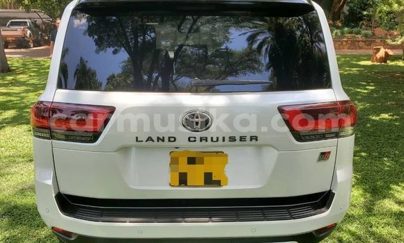 Acheter Occasion Voiture Toyota Land Cruiser Blanc à Harare, Harare Acheter Occasion Voiture Toyota Land Cruiser Blanc à Harare, Harare