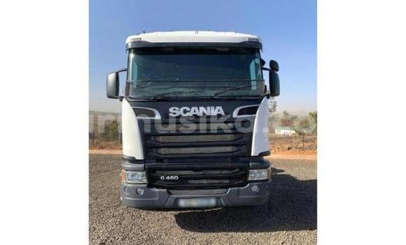 Tenga Tsaru Scania R420 Chena Rori in Beitbridge in Matabeleland South Tenga Tsaru Scania R420 Chena Rori in Beitbridge in Matabeleland South