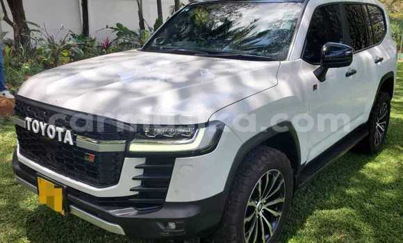 Nunua Ilio tumika Toyota Land Cruiser Nyeupe Gari ndani ya Beitbridge nchini Matabeleland Kusini