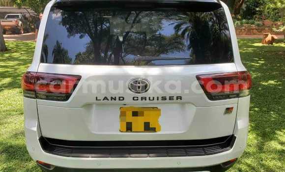 Buy Used Toyota Land Cruiser White Car in Beitbridge in Matabeleland South Buy Used Toyota Land Cruiser White Car in Beitbridge in Matabeleland South