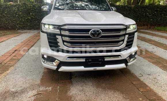Acheter Occasion Voiture Toyota Land Cruiser Blanc à Bindura, Mashonaland Central