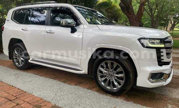 Buy Used Toyota Land Cruiser White Car in Bindura in Mashonaland Central Buy Used Toyota Land Cruiser White Car in Bindura in Mashonaland Central