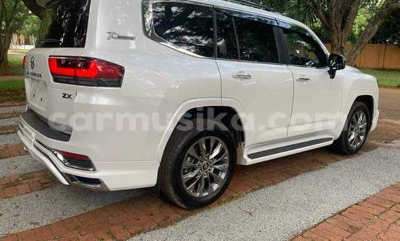 Buy Used Toyota Land Cruiser White Car in Bindura in Mashonaland Central Buy Used Toyota Land Cruiser White Car in Bindura in Mashonaland Central