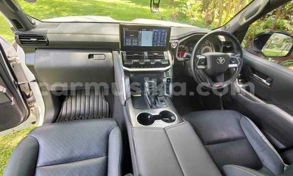 Buy Used Toyota Land Cruiser White Car in Bindura in Mashonaland Central Buy Used Toyota Land Cruiser White Car in Bindura in Mashonaland Central
