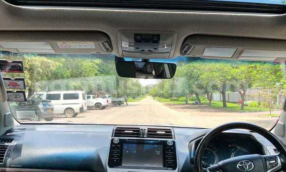 Buy Used Toyota Land Cruiser Prado Other Car in Borrowdale in Harare Buy Used Toyota Land Cruiser Prado Other Car in Borrowdale in Harare