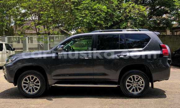 Buy Used Toyota Land Cruiser Prado Other Car in Borrowdale in Harare Buy Used Toyota Land Cruiser Prado Other Car in Borrowdale in Harare