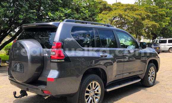 Buy Used Toyota Land Cruiser Prado Other Car in Borrowdale in Harare Buy Used Toyota Land Cruiser Prado Other Car in Borrowdale in Harare