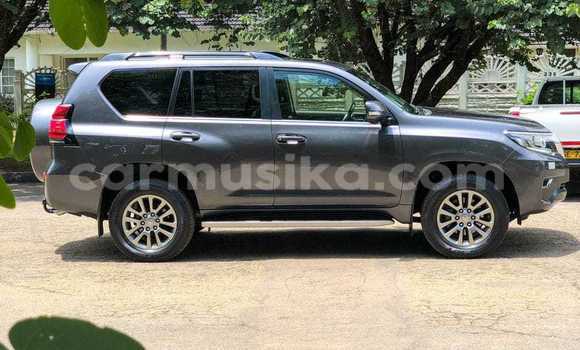 Buy Used Toyota Land Cruiser Prado Other Car in Borrowdale in Harare Buy Used Toyota Land Cruiser Prado Other Car in Borrowdale in Harare