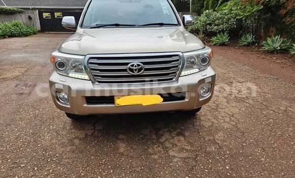 Buy Used Toyota Land Cruiser Other Car in Beitbridge in Matabeleland South
