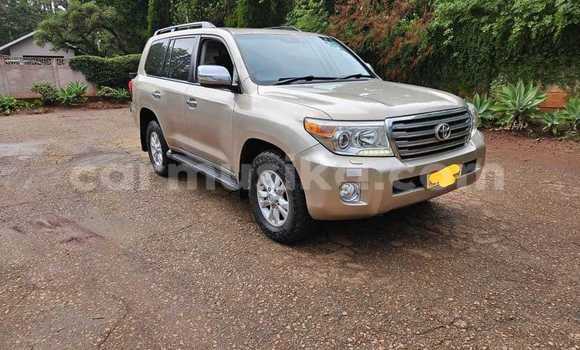 Tenga Tsaru Toyota Land Cruiser Zvimwe Mota in Beitbridge in Matabeleland South Tenga Tsaru Toyota Land Cruiser Zvimwe Mota in Beitbridge in Matabeleland South