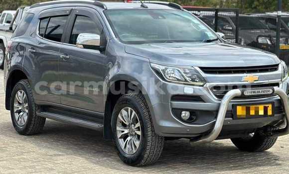 Buy Used Chevrolet TrailBlazer Other Car in Bindura in Mashonaland Central