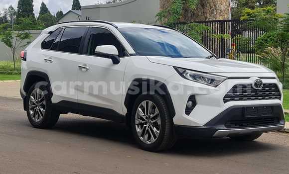 Buy Used Toyota RAV4 White Car in Bindura in Mashonaland Central Buy Used Toyota RAV4 White Car in Bindura in Mashonaland Central
