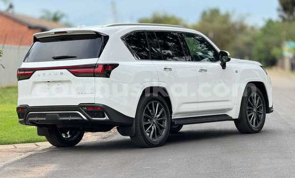 Buy Used Lexus LX 570 White Car in Bindura in Mashonaland Central Buy Used Lexus LX 570 White Car in Bindura in Mashonaland Central