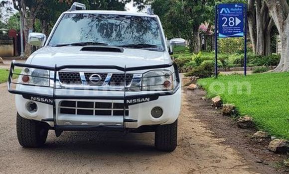 Buy Used Nissan NP 300 White Car in Borrowdale in Harare