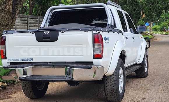 Tenga Tsaru Nissan NP 300 Chena Mota in Borrowdale in Harare Tenga Tsaru Nissan NP 300 Chena Mota in Borrowdale in Harare