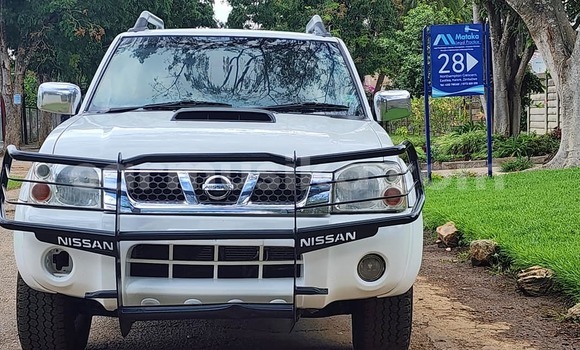 Tenga Tsaru Nissan NP 300 Chena Mota in Borrowdale in Harare Tenga Tsaru Nissan NP 300 Chena Mota in Borrowdale in Harare