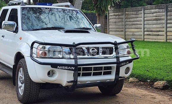 Tenga Tsaru Nissan NP 300 Chena Mota in Borrowdale in Harare Tenga Tsaru Nissan NP 300 Chena Mota in Borrowdale in Harare