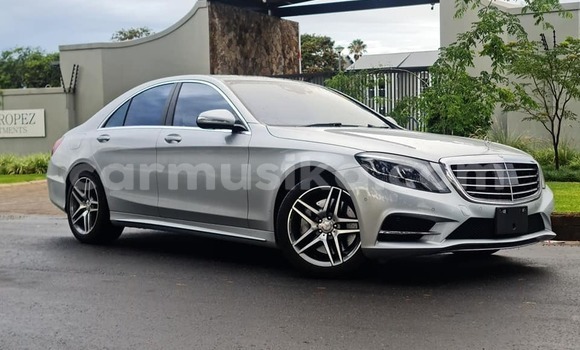 Acheter Occasion Voiture Mercedes‒Benz S–Class Autre à Bindura, Mashonaland Central