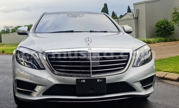 Buy Used Mercedes‒Benz S–Class Other Car in Bindura in Mashonaland Central Buy Used Mercedes‒Benz S–Class Other Car in Bindura in Mashonaland Central