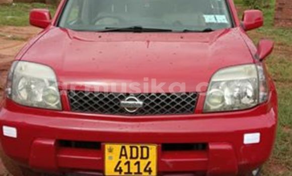 Buy Used Nissan X-Trail Red Car in Bulawayo in Bulawayo Buy Used Nissan X-Trail Red Car in Bulawayo in Bulawayo