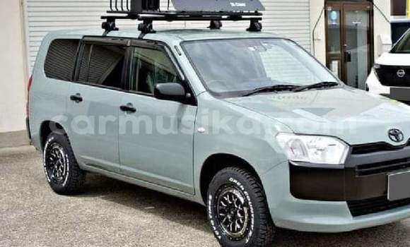 Buy Used Toyota Probox Beige Car in Beitbridge in Matabeleland South