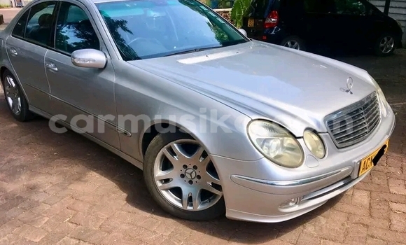 Acheter Occasion Voiture Mercedes‒Benz W189 Vert à Harare, Harare