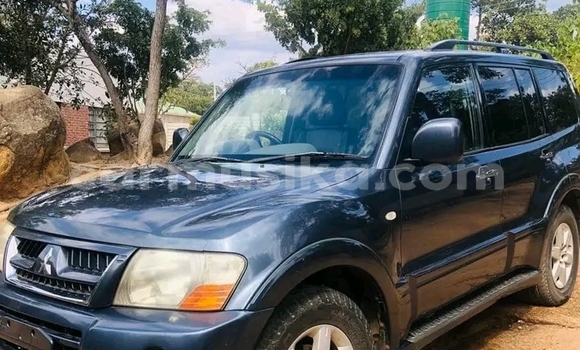 Tenga Tsaru Mitsubishi Pajero Nhema Mota in Harare in Harare