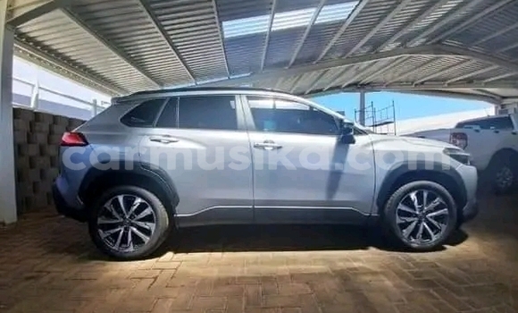 Buy Used Toyota Corolla Green Car in Harare in Harare