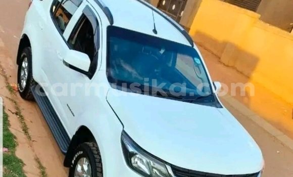Buy Used Chevrolet TrailBlazer White Car in Harare in Harare
