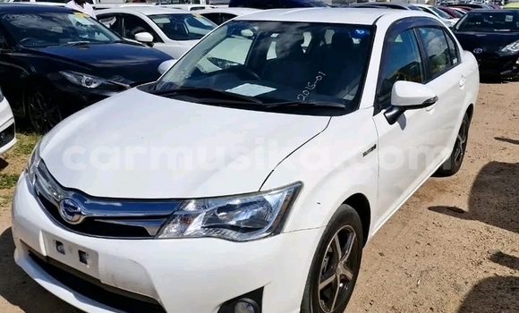 Tenga Tsaru Toyota Axio Chena Mota in Harare in Harare