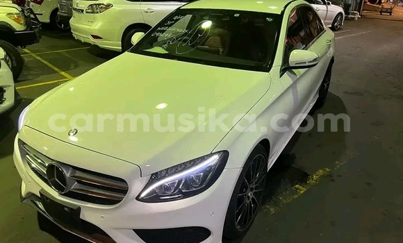 Buy Used Mercedes-Benz C250 coupe Other Car in Harare in Harare Buy Used Mercedes-Benz C250 coupe Other Car in Harare in Harare