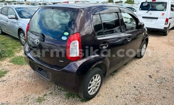 Buy Used Toyota Passo Black Car in Harare in Harare Buy Used Toyota Passo Black Car in Harare in Harare