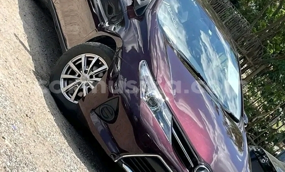 Buy Used Toyota Auris Red Car in Harare in Harare Buy Used Toyota Auris Red Car in Harare in Harare