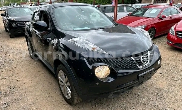 Buy Used Nissan Juke Black Car in Harare in Harare Buy Used Nissan Juke Black Car in Harare in Harare