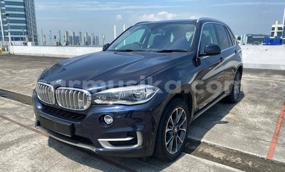 Buy Used BMW X5 Blue Car in Beitbridge in Matabeleland South