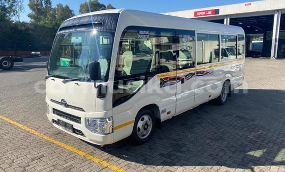 Buy Used Toyota Coaster White Car in Beitbridge in Matabeleland South