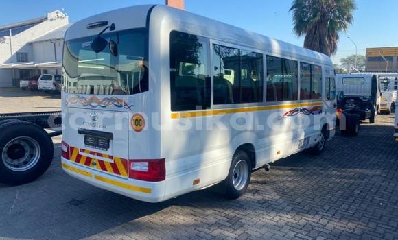 Acheter Occasion Voiture Toyota Coaster Blanc à Beitbridge, Matabeleland South Acheter Occasion Voiture Toyota Coaster Blanc à Beitbridge, Matabeleland South