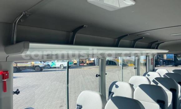 Acheter Occasion Voiture Toyota Coaster Blanc à Beitbridge, Matabeleland South Acheter Occasion Voiture Toyota Coaster Blanc à Beitbridge, Matabeleland South
